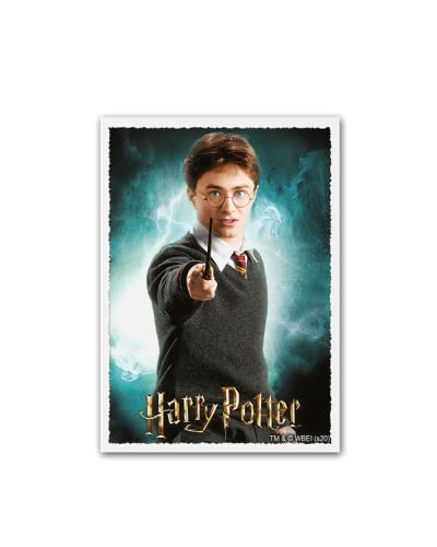 Arcane Tinmen Dragon Shield Sleeves - Matte Art 100 CT - MGT Card Sleeves - Compatible with Magic The Gathering Card Sleeves Pokémon and Other Card Games - Limited Edition: Harry Potter: Harry Potter