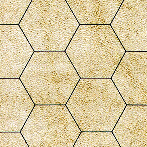 Chessex Battlemat – Vinyl RPG Battlemat – Smooth & Tough - 23.5 inches x 26 inches – Reversible 1-inch Squares & 1-inch Hexes – TTRPG RPG DND D&D Dungeons and Dragons,CHX96246