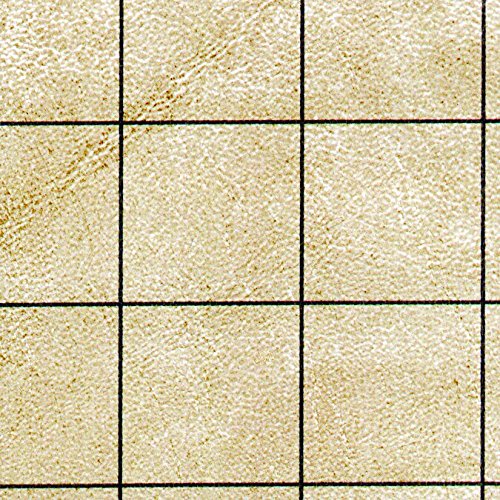 Chessex Battlemat – Vinyl RPG Battlemat – Smooth & Tough - 23.5 inches x 26 inches – Reversible 1-inch Squares & 1-inch Hexes – TTRPG RPG DND D&D Dungeons and Dragons,CHX96246